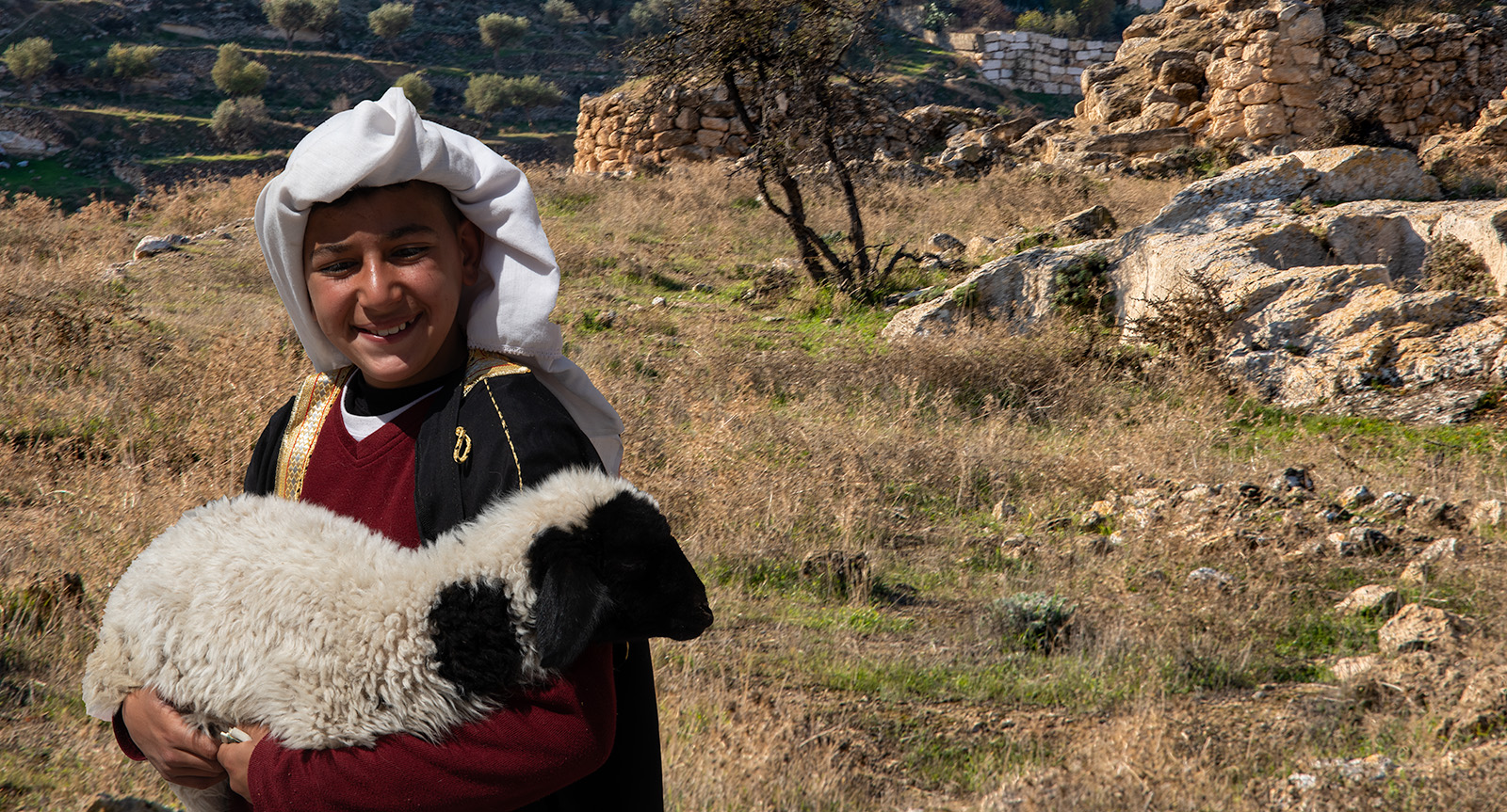Bethlehem Shepherd's Filed