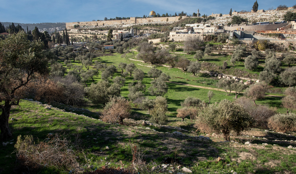 Kidron Valley - Jerusalem