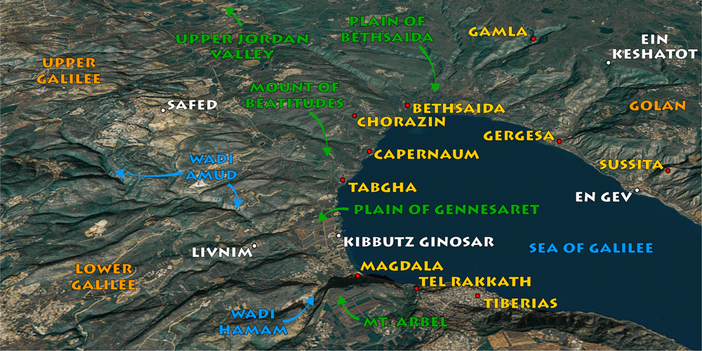 Sea of Galilee Satellite Map