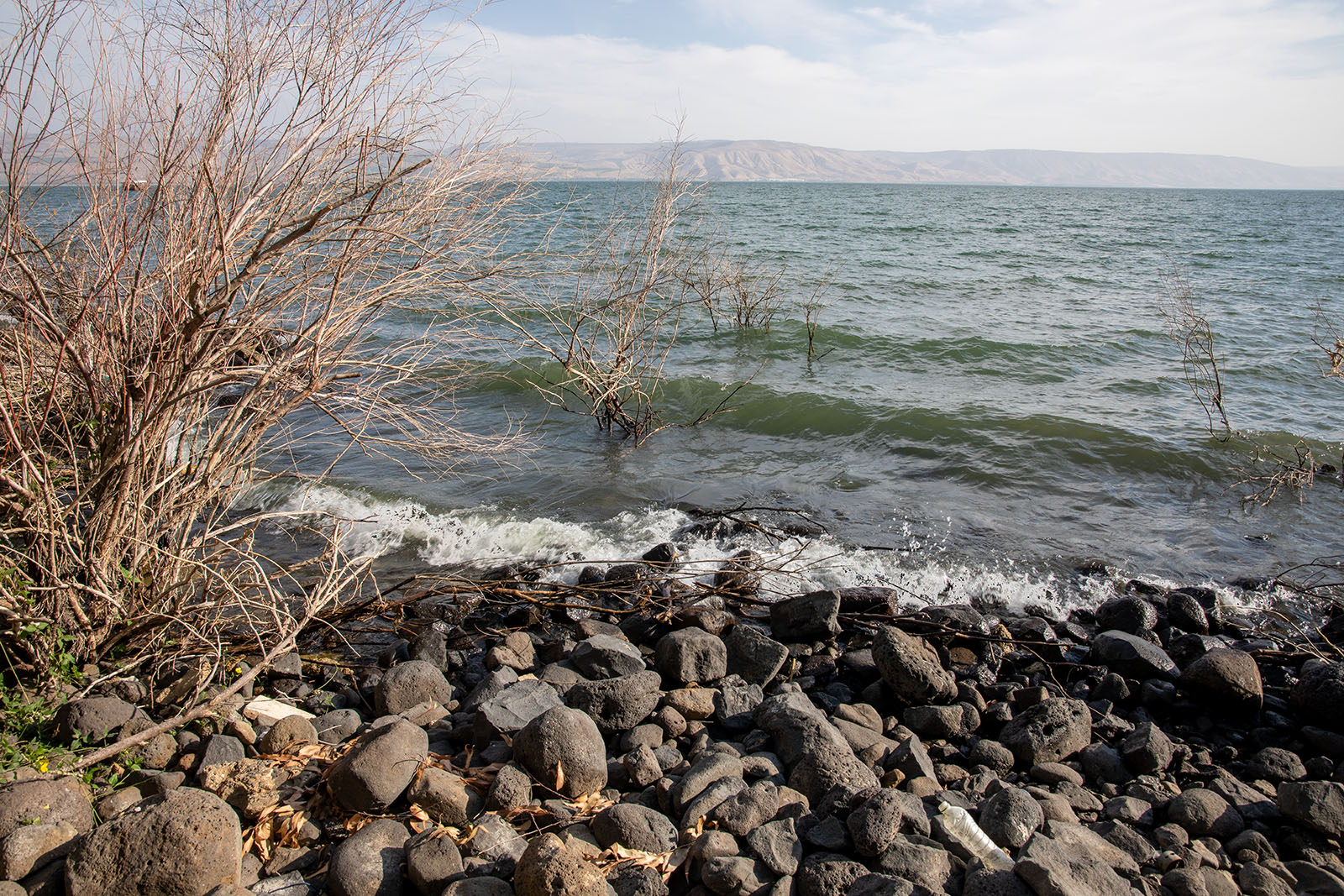 Western Capernaum shore