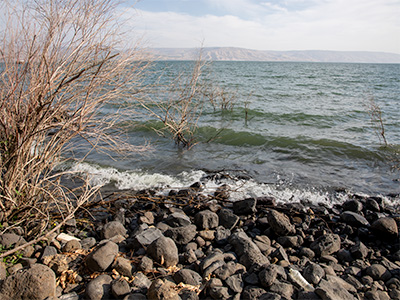 Western Capernaum shore