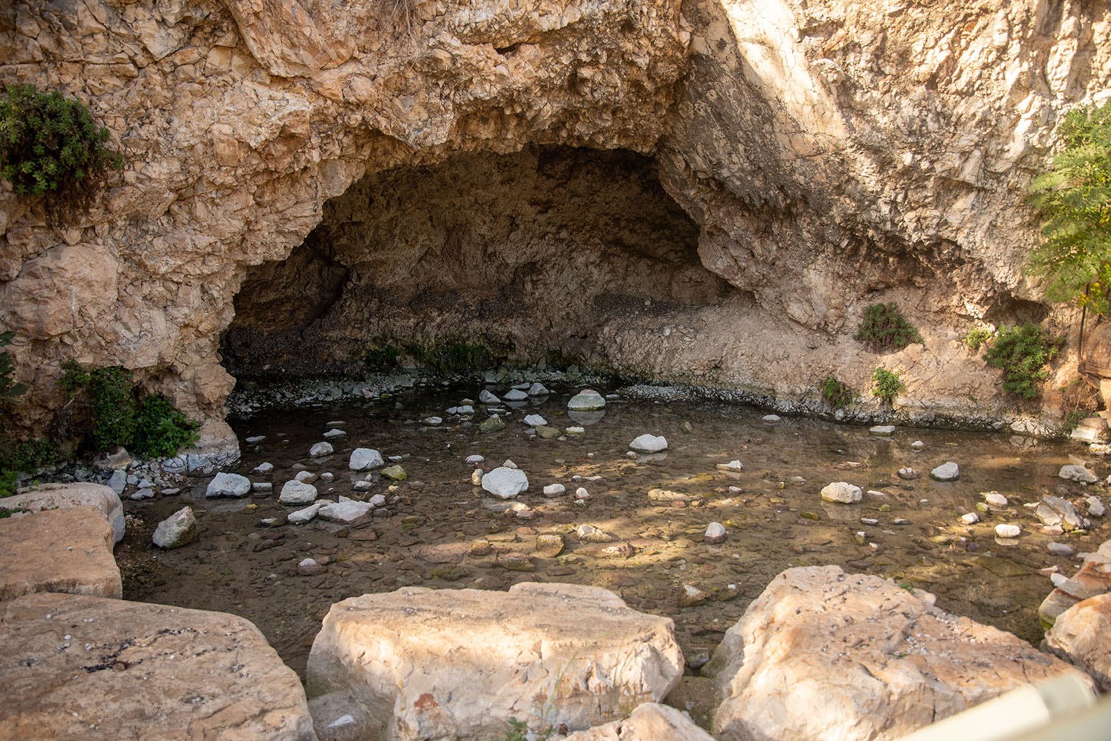Ein Harod