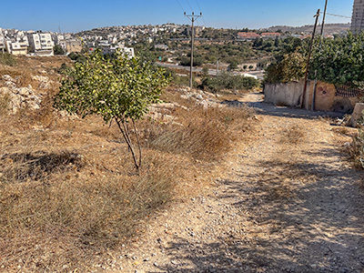 Kiryat Arba