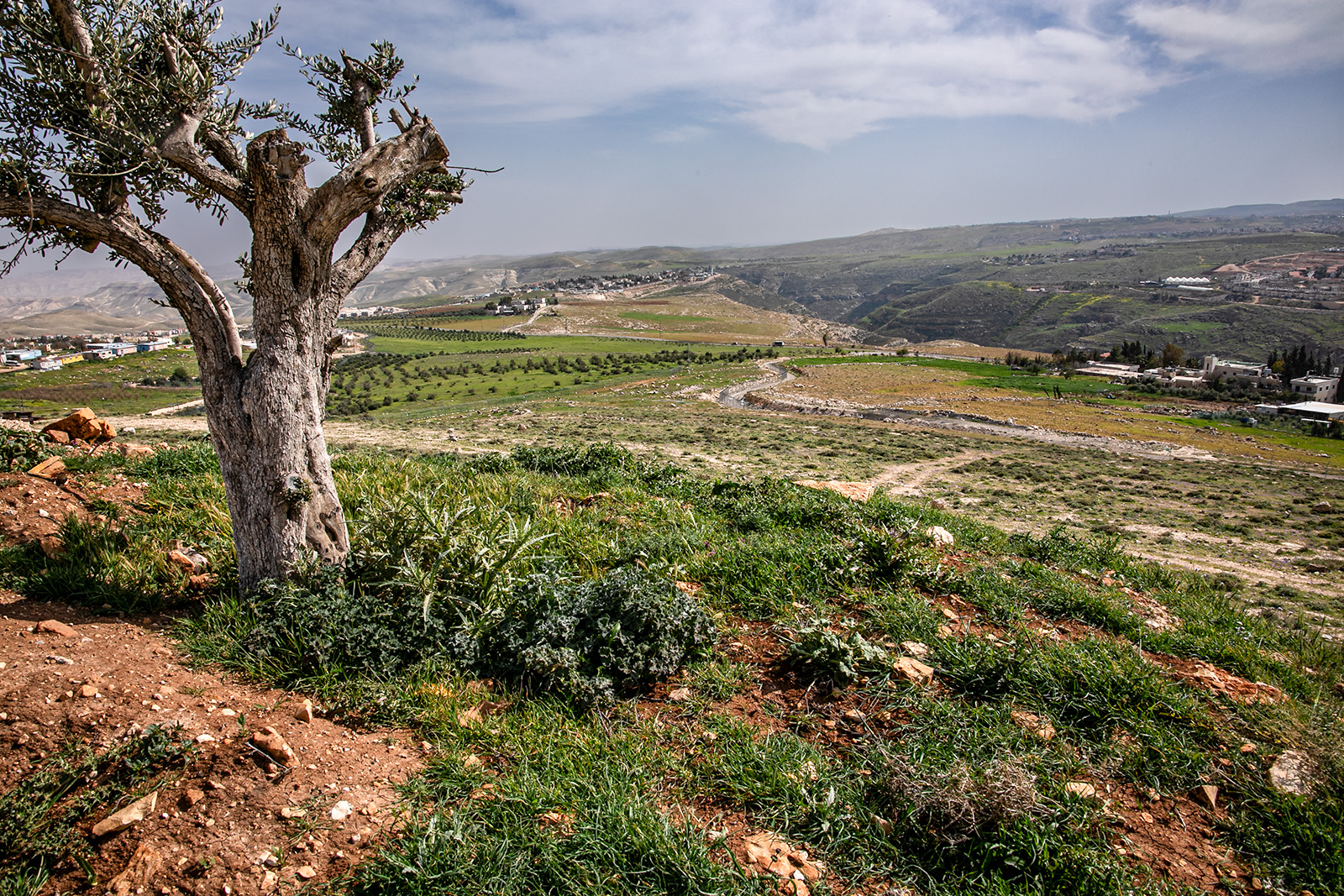 Herodium - Judean Wilderness