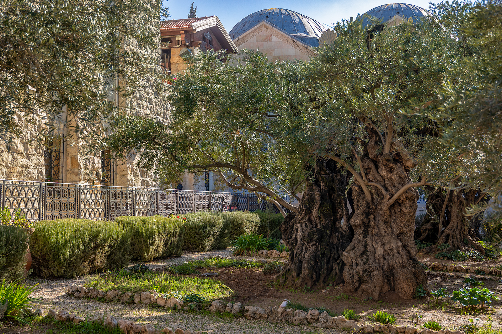 Garden of Gethsemane