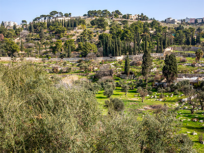Mount of Olives - Kidron Valley