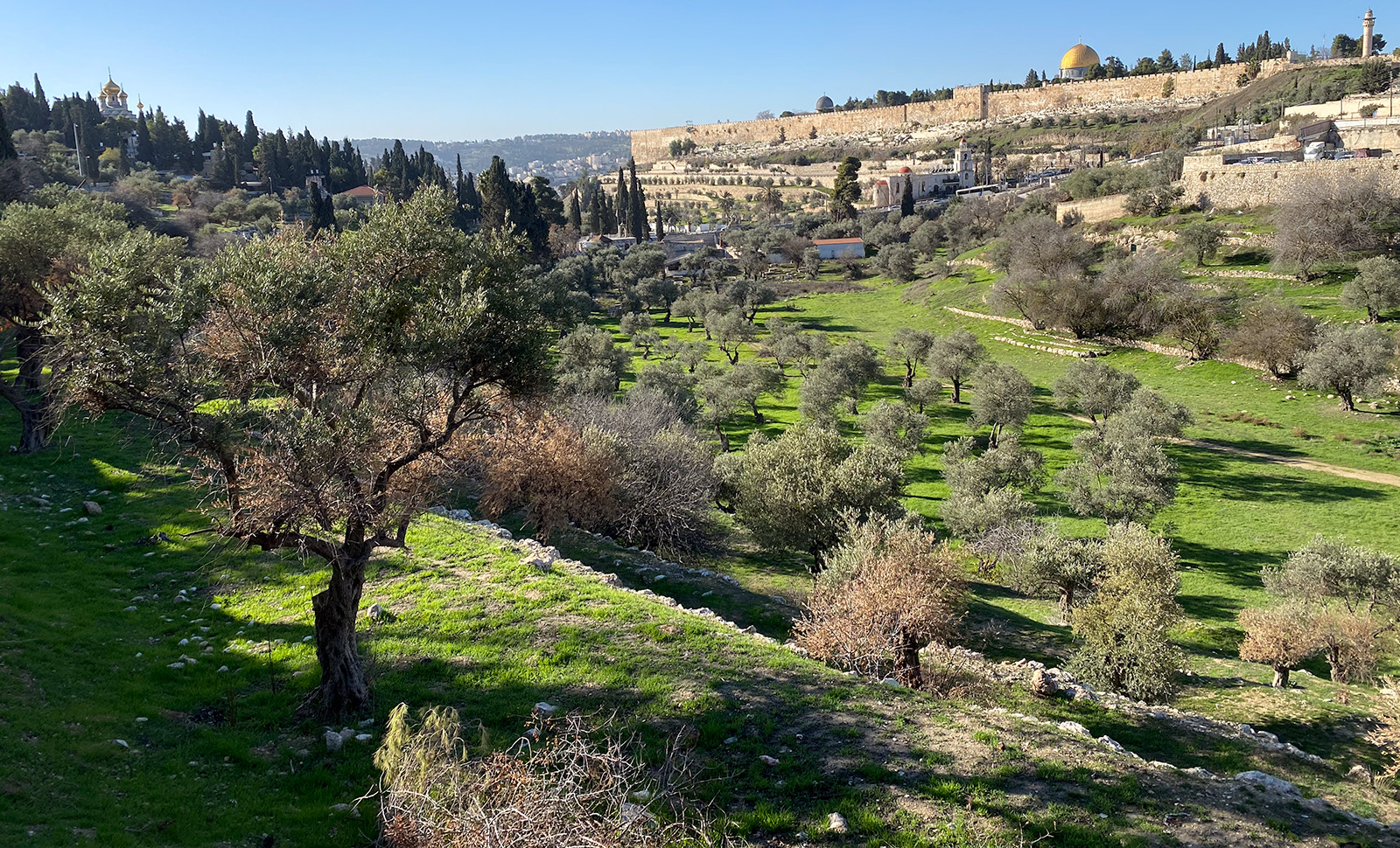 Orson Hyde Memorial Garden - Kidron Valley