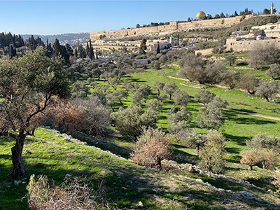 Orson Hyde Memorial Garden - Kidron Valley