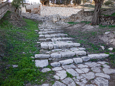Peter In Gallicantu