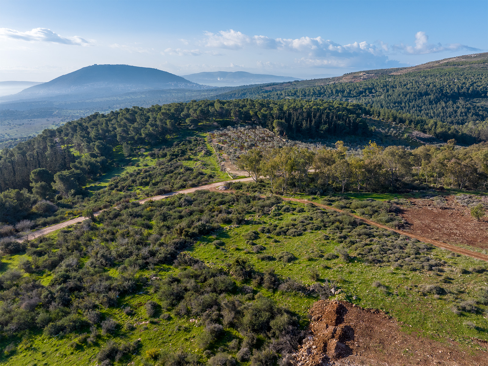 Mount Tabor from the Nazareth Ridge