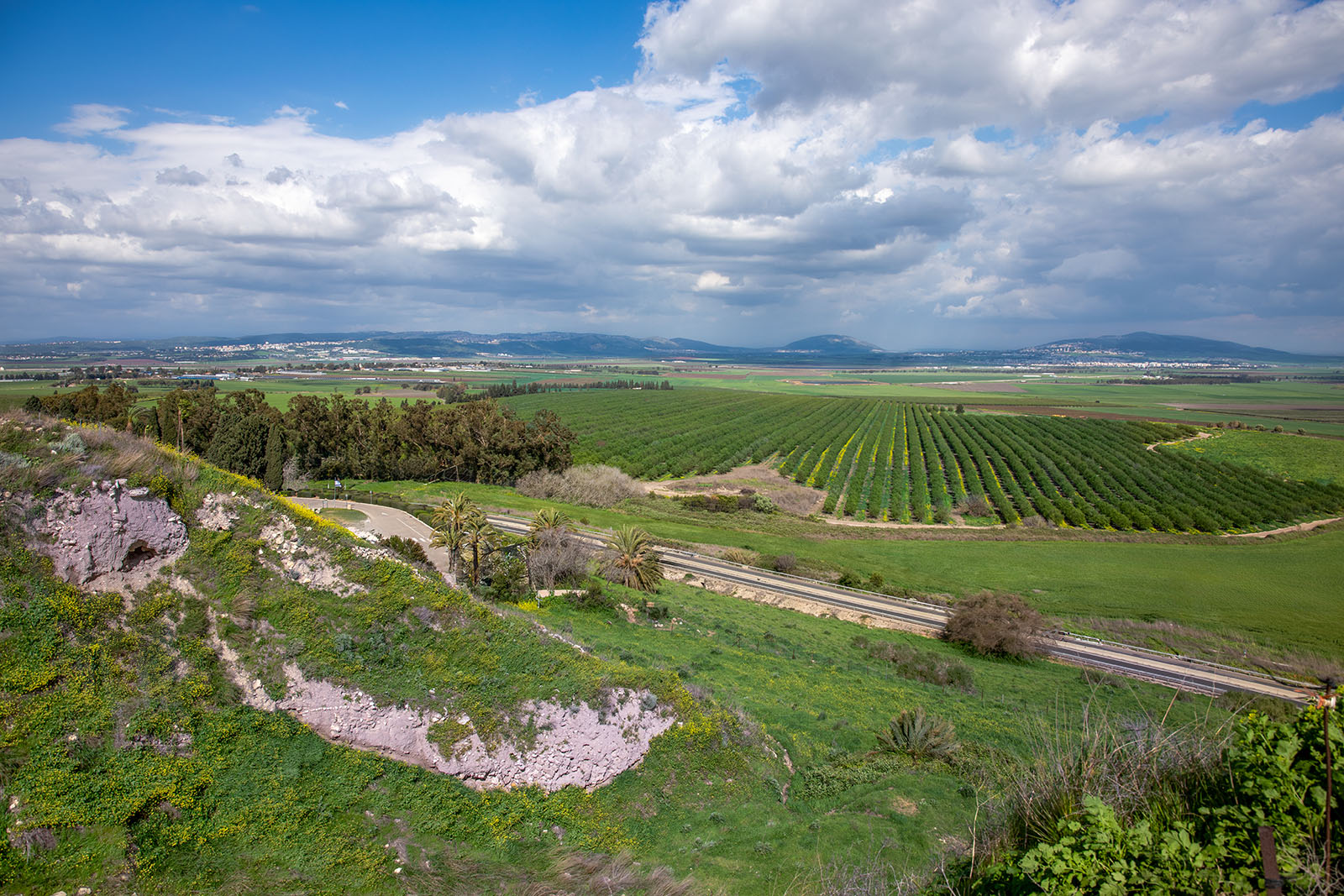 Mount Tabor from Megiddo