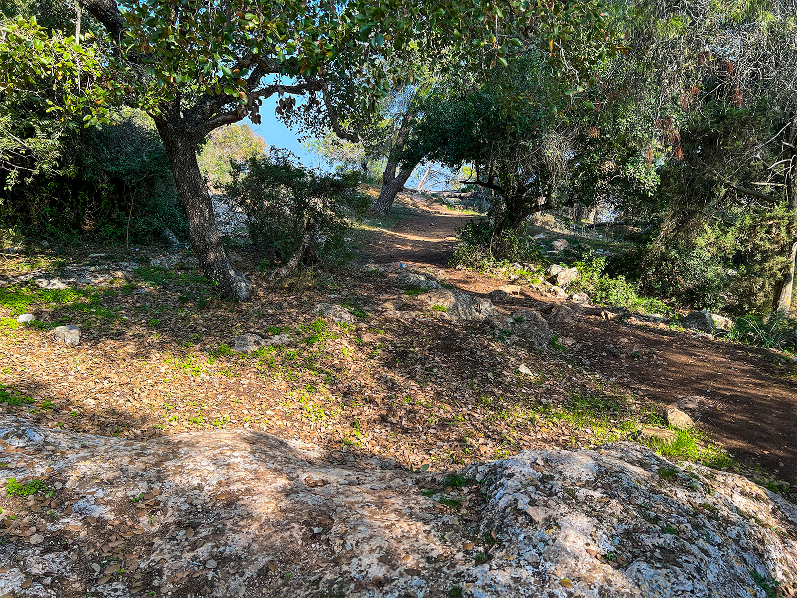 Mount Tabor