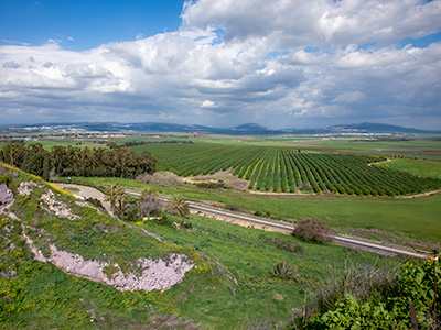 Mount Tabor from Megiddo