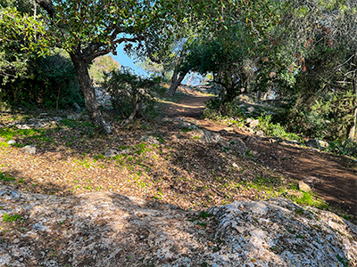 Mount Tabor